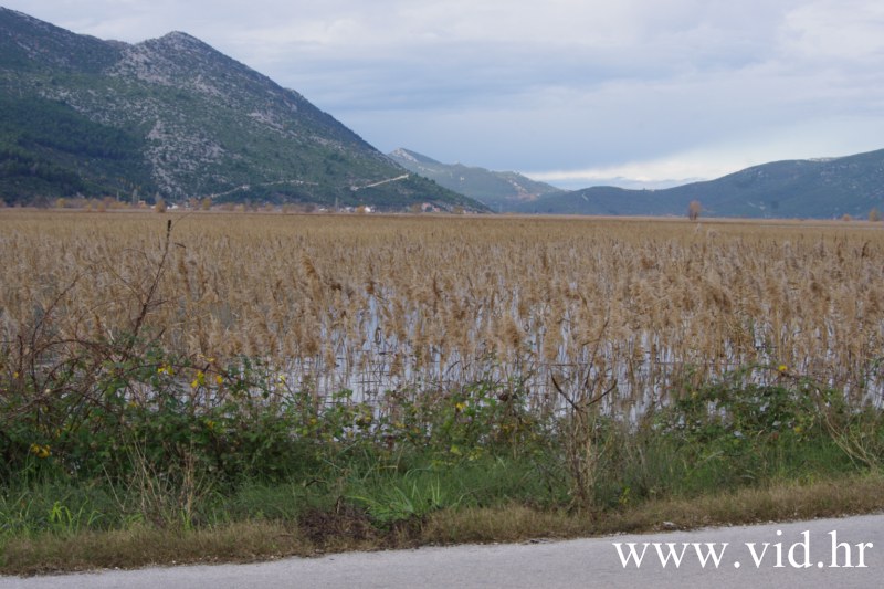 Poplava_u_Metkovicu (67)